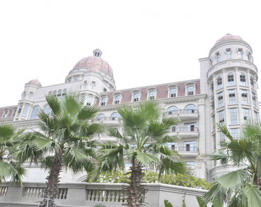 仿花崗巖漆案例